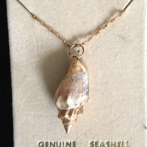 Sea Shell Gold Plated Necklace